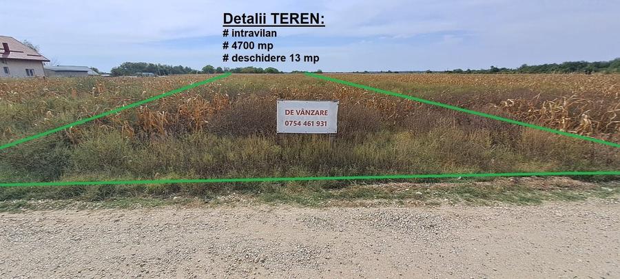 Teren Construcții intravilan de 4700 mp, în Palanca