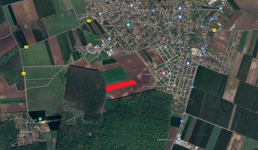 Teren Construcții intravilan de 13500 mp, în Dascălu