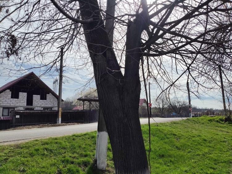 Casă cu 3 camere cu Teren 9000 Mp în Ludași