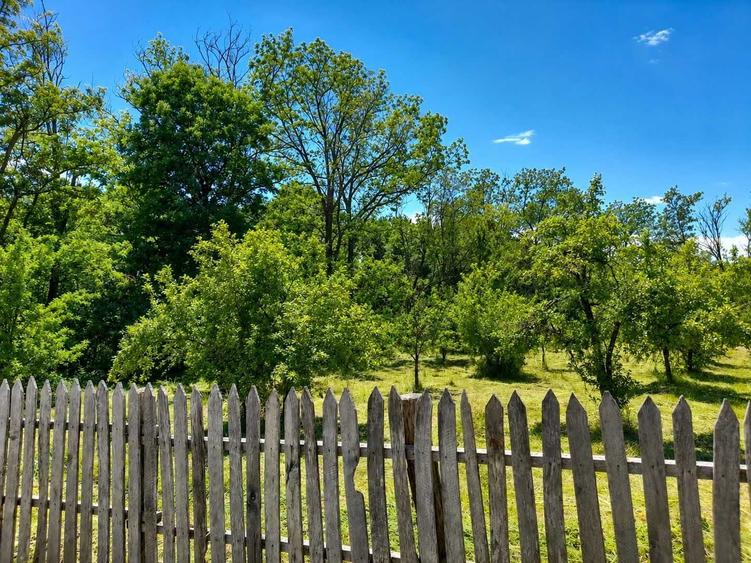 Teren de 1570 mp, în Băbana
