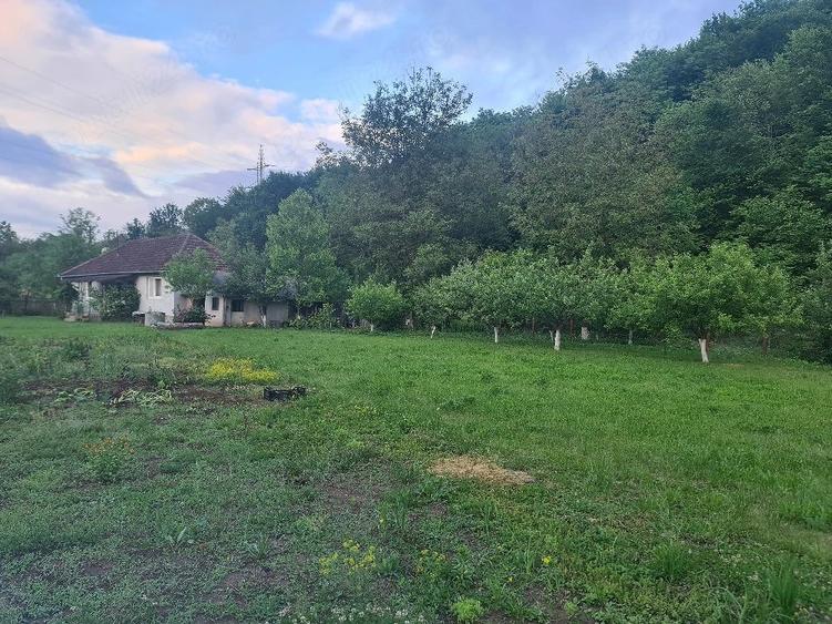 Casă cu Teren 1520 Mp în Central
