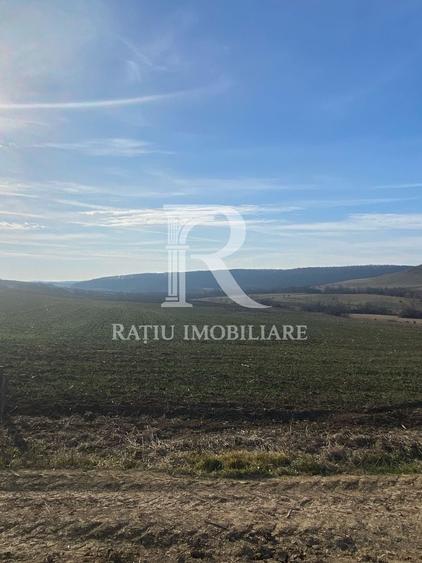 Teren agricol extravilan de 3900 mp, în Sud-Est