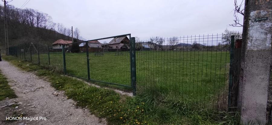Teren de 3734 mp, în Albești