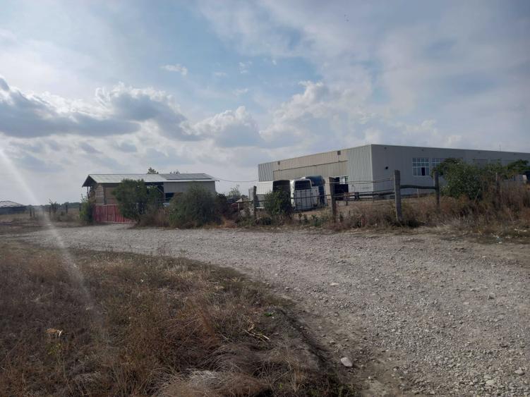 Teren de 10000 mp, în Dascălu