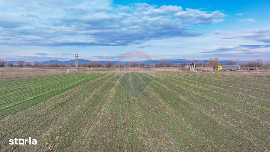 Teren de 5300 mp, în Prejmer