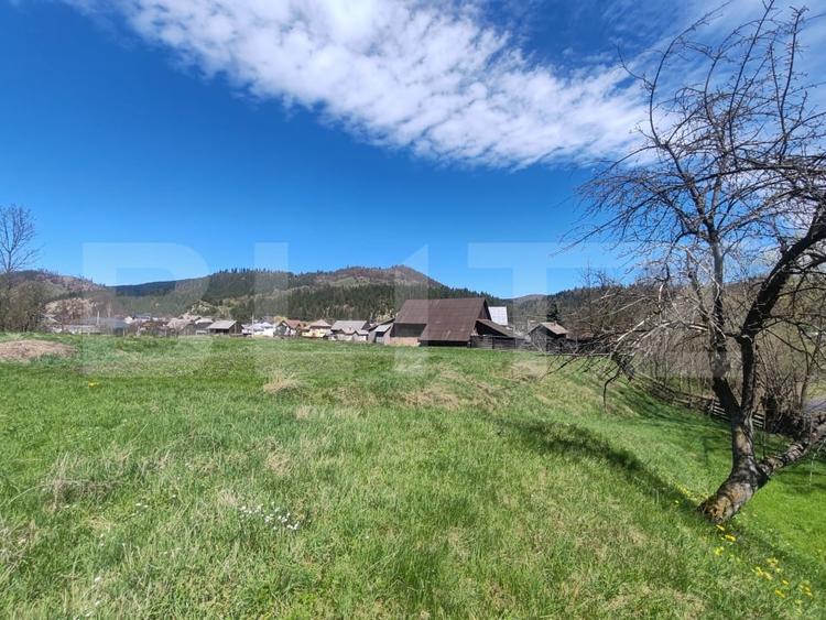 Casa cu 6830 mp teren, Manastirea Humorului - 2