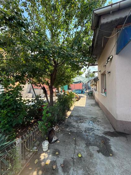 Casă cu 3 camere în Central