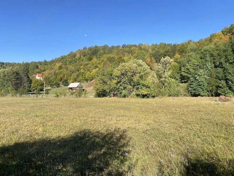 Teren de 2000 mp, în Băile Chirui