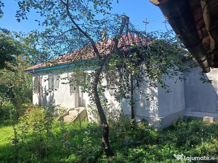 Casa batraneasca Colceag Prahova - Colceag (Prahova) - 11