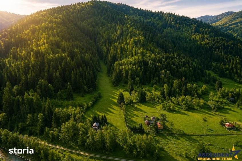 Teren de 7800 mp, în Lunca