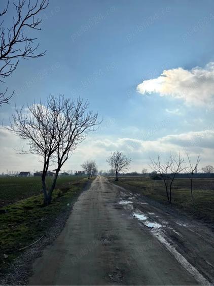 Teren de 500 mp, în Giroc