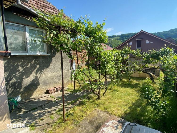 Casă cu 3 camere cu Teren 360 Mp în Central