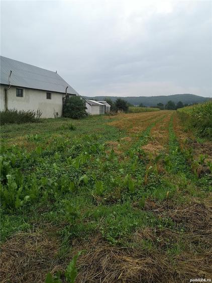 Teren de 3185 mp, în Central