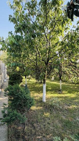 Casă cu 4 camere cu Teren 425 Mp în Bogdăneștilor