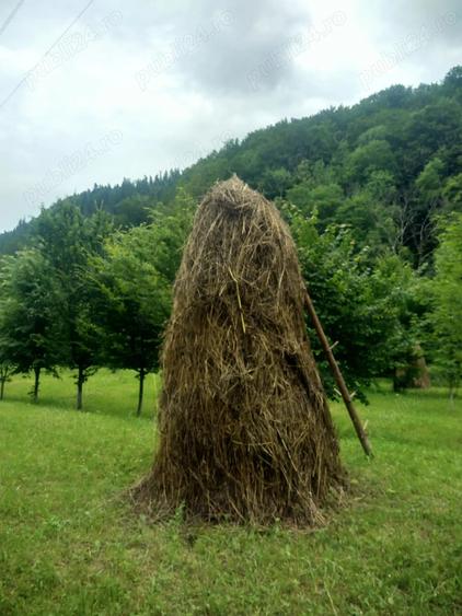 Teren de 3000 mp, în Cazaci