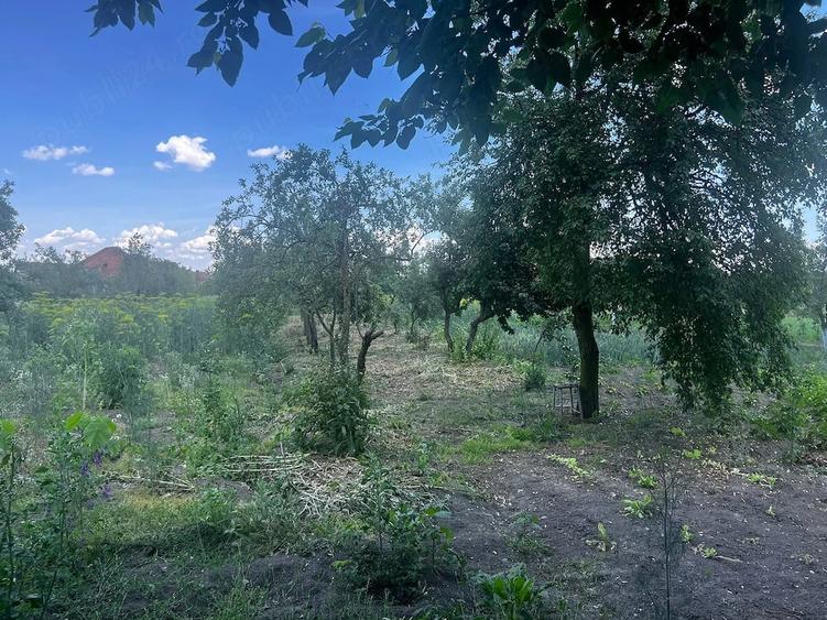 Casă cu Teren 2900 Mp în Jamu Mare