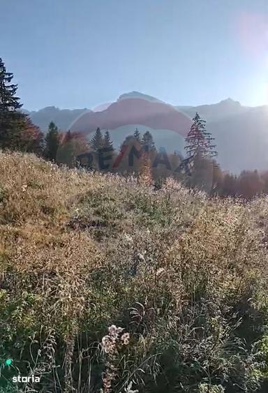 Teren de 23000 mp, în Central