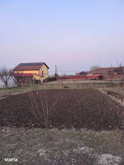 Teren de 505 mp, în Central