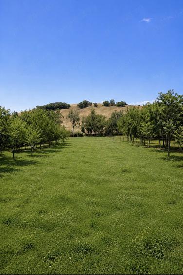 Teren de 1259 mp, în Buzad