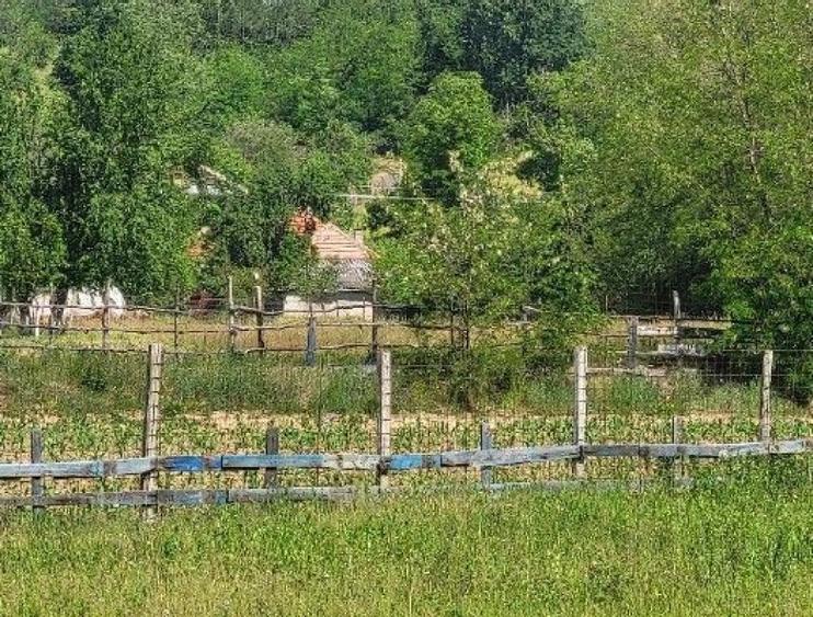 Teren extravilan arabil Tisau, ID: R2590475 - 1
