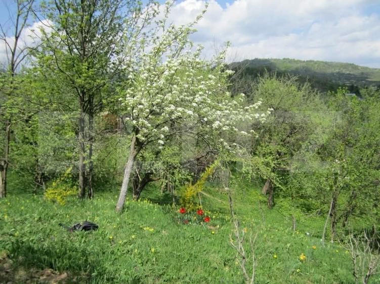 Teren Construcții intravilan de 884 mp, în Fieni