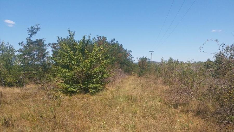 Teren Construcții extravilan de 15000 mp, în Vernești