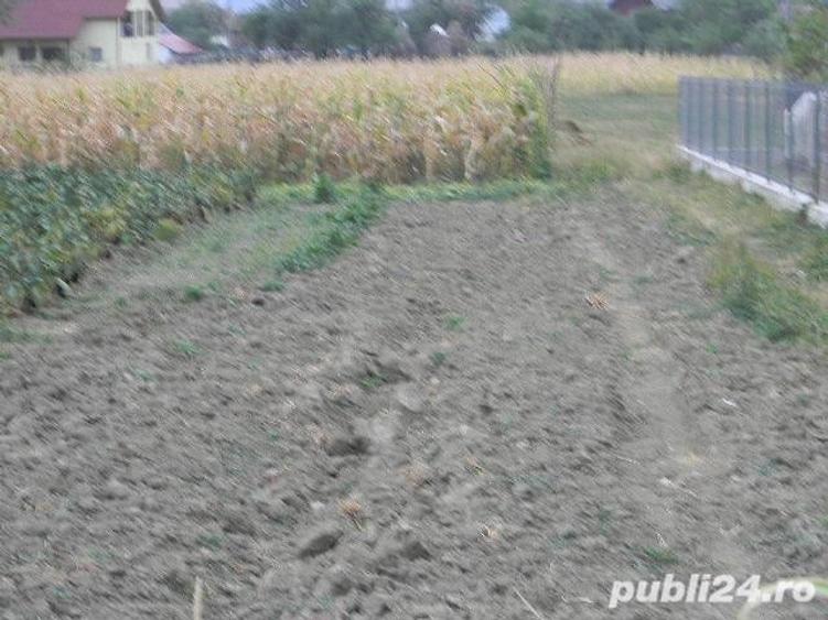 Teren în Valea Iașului