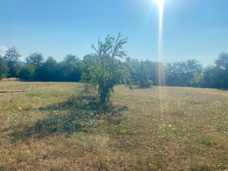 Teren intravilan de 3547 mp, în Polovragi