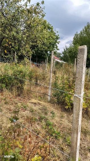 Casă cu 5 camere cu Teren 11383 Mp în Șinteu