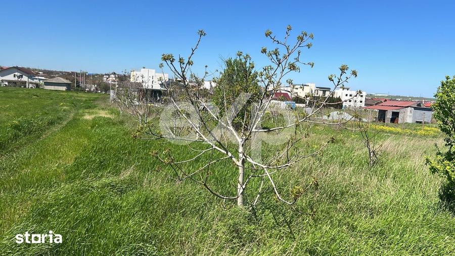 De vanzare teren extravilan, 400 mp, Loc. Techirghiol, Jud. Constanta - 2