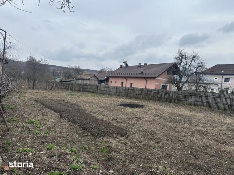 Teren intravilan 1 304 mp - Calinesti- Gorganu-Arges! - 3