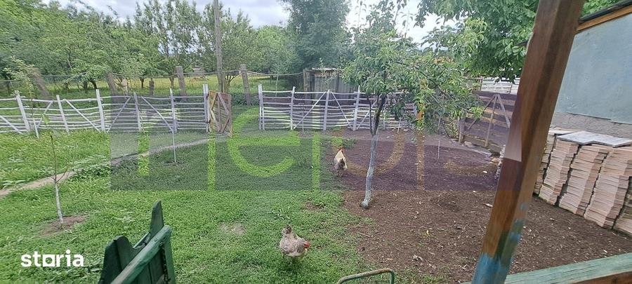 Casă cu 3 camere cu Teren 2500 Mp în Mihăești
