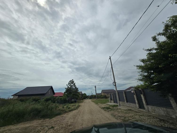Teren Construcții intravilan de 5000 mp, în Lazu