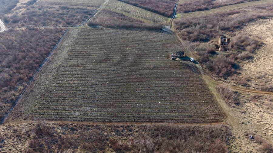 Teren agricol extravilan de 6800 mp, în Covăsinț