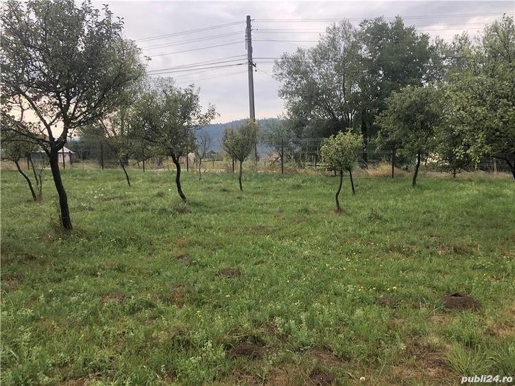 Teren de 1000 mp, în Valea Mare