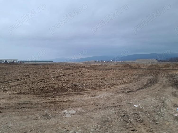 Teren de 1450 mp, în Cărpiniș