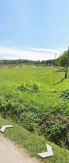 Teren Construcții intravilan de 4000 mp, în Șamșud