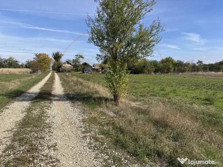 Teren de 3700 mp, în Nejlovelu
