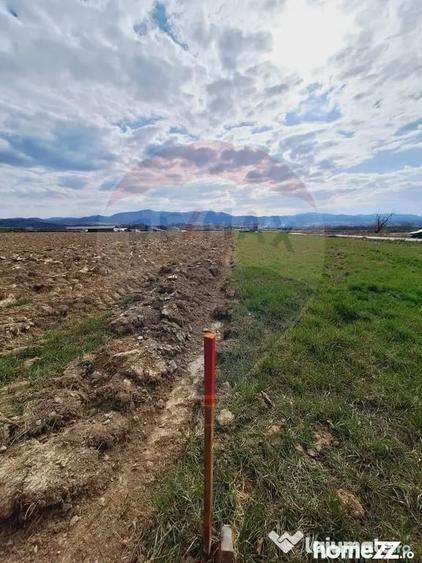 Teren în Central