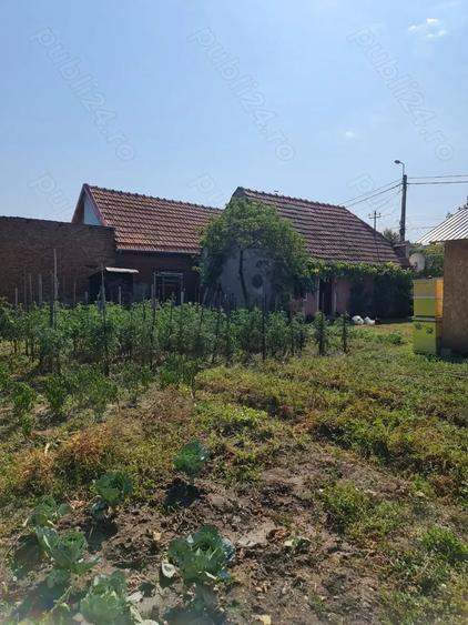 Casă cu 2 camere cu Teren 334 Mp în Vinerea