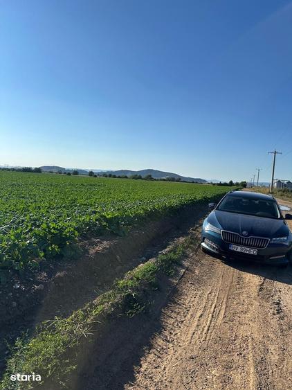 Teren de 18500 mp, în Hărman