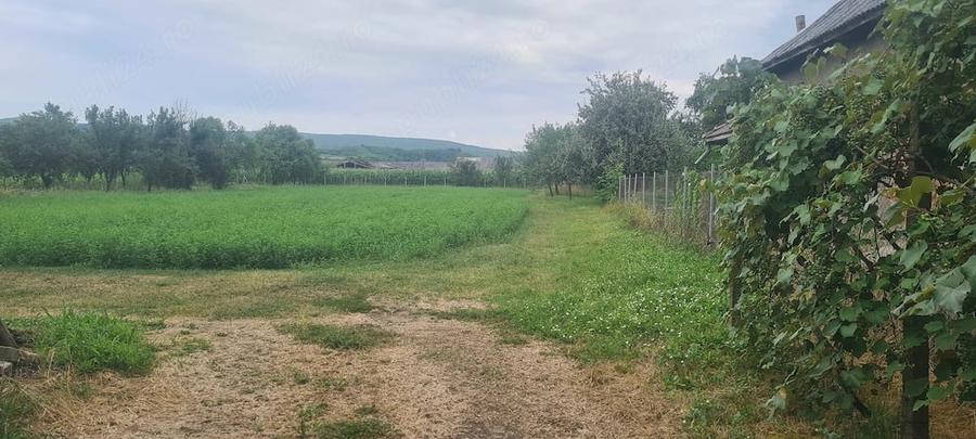 Casă cu Teren 44 Mp în Chiuza