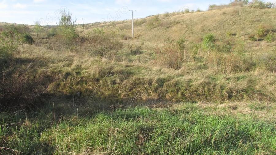 Teren de 15400 mp, în Zăvoi