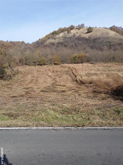 Teren de 2800 mp, în Divici
