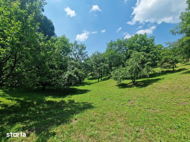 Teren de 3910 mp, în Secăriei