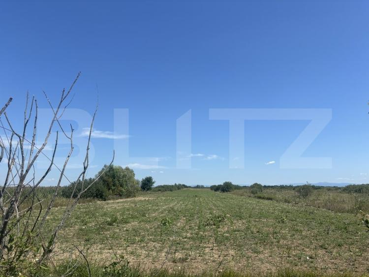 Teren agricol extravilan de 62000 mp, în Cionchești