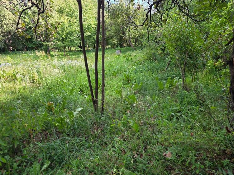 Casă cu 3 camere în Bogdănești