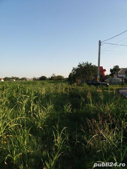 Teren de 2500 mp, în Mărăcineni