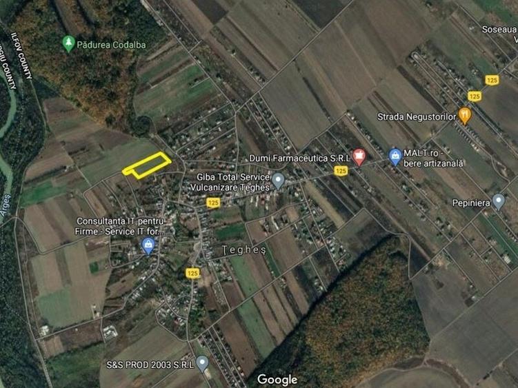 Teren agricol intravilan de 10000 mp, în Țegheș