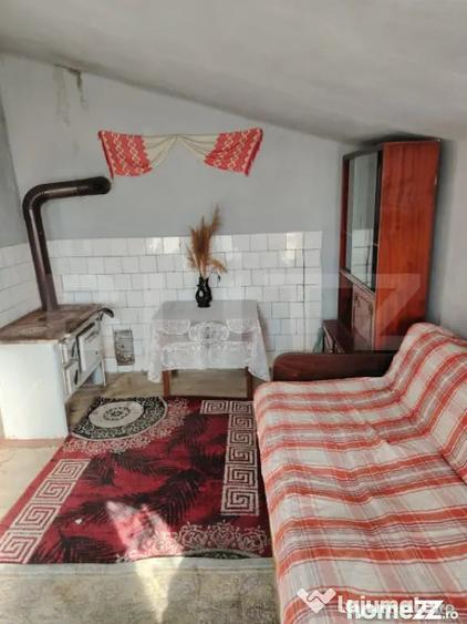 Casă cu 2 camere cu Teren 3750 Mp în Ceanu Mare